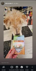 Hund Pauli und Lyra Buntstifte Hamburg Pöseldorf Milchstraße 11