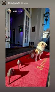 Photo Fabrics by Peter Sapper _ Milchstrasse 11 Pöseldorf _ Michaela de Luxe _ mit Hund Pauli